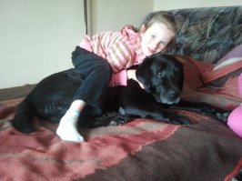 Неее, мы как-то лабрикам больше доверяем