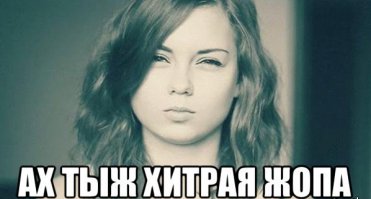  Хитрый пингвин