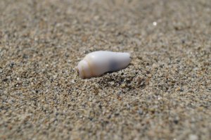 Минимализм в фотографии