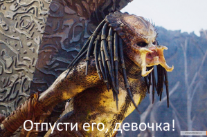 Подборка видео от 23.06.2014