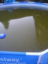 Вода в моем бассейне...