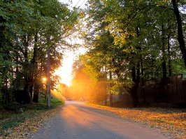 Иногда достаточно обернуться, наклониться или остановиться на четверть часа на обочине у холма, мимо которого все проезжают не снижая скорости, чтобы сделать неплохие снимки.