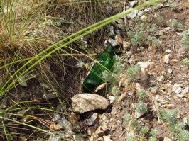 Иногда достаточно обернуться, наклониться или остановиться на четверть часа на обочине у холма, мимо которого все проезжают не снижая скорости, чтобы сделать неплохие снимки.