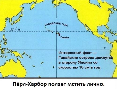 Фишкина солянка. Часть 41