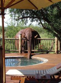 Все правильно сделал! Не дай себе засохнуть!))))