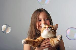 Коту для счастья нужно мало