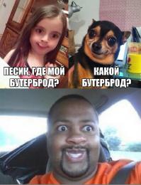 Смешные картинки с подписями 