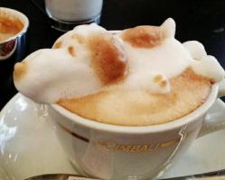 кофе не пил и не понимал, пока на работе на присадили.. теперь кофэман стаж 5 лет