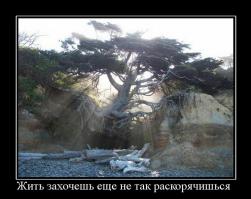Сила жизни