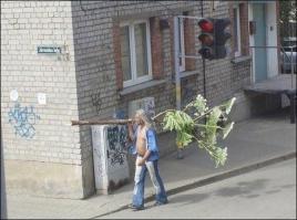 НА 27-й фотке такой себе гуру несет даме сердца Мегацветок... все бы ничего, если бы это был не Борщевик Сосновского!!! от которого ожоги месяцами не заживают