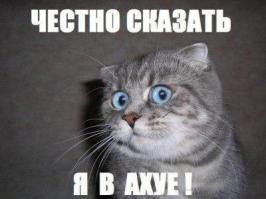 Подборка видео от 25.06.2014