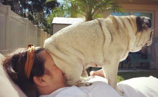 Завтра в новостях НТВ- Ты не поверишь, разнузданная европа сует свои носы в  суверенные дела. Не твое собачье дело- отвечает прогрессивная  молодежь