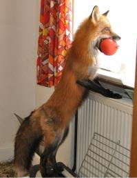 а хорош, то хорош!!!!!!!!!!!!!!!!!!!!)))