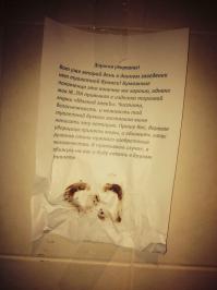 увидел в туалете в конторе)))