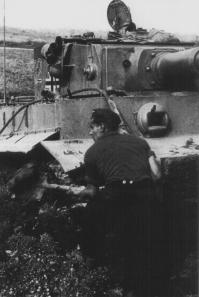 Да, мы давно славимся особым покрытием на дорогах))))