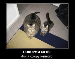 25 остроумных перлов черного юмора для любителей посмеяться от души