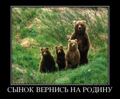 Мишка спустя год после Олимпиады