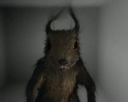 Бывают и такие белки)))