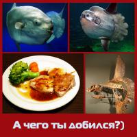 НЕСКОЛЬКО ДЕМОТИВАТОРОВ)))