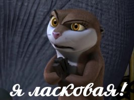 Выдры тоже могут быть милыми и смешными