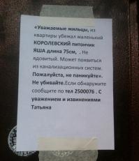 Гость пробрался через унитаз