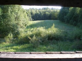 Овёс в лесу сажают в охот угодьях, для подкорма диких животных, на озёрах сажают дикий рис