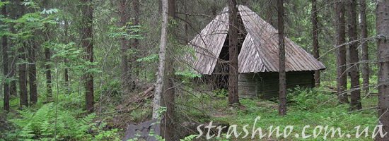 Сараи в лесу не такая уж и редкость,,,,, лучше переночевать под крышей, чем под открытым небом