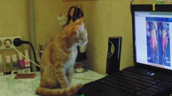 недостающие 30% =)