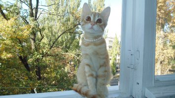 недостающие 30% =)