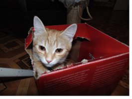 Коробки наше всё