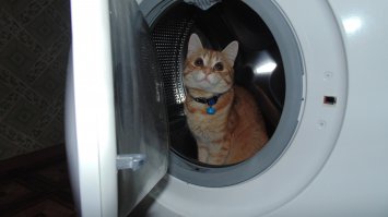 наша до и после ;)