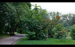 Ну попробуйте со своими мыльницами сделать что-то подобное