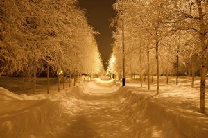 Никакого фотошопа. ХМАО-Югра. Canon 1D mark IV