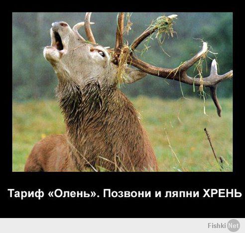 "Чистокровный американец Джонатан Энгельс" что это ******ня, такой нации не существует, автор ты олень.