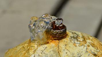 10 легендарных фотоаппаратов XX века