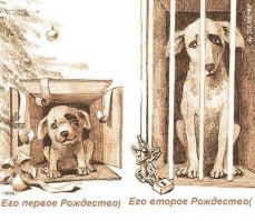 Этим счастливчикам подарили на Рождество щенков