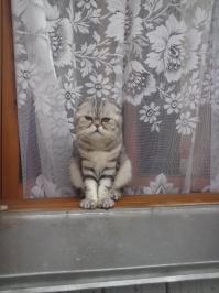 они все печальные