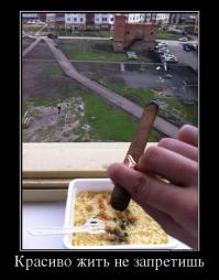 Нашел новое применение сломанному забору