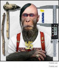 12 загадочных животных 