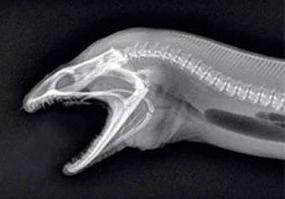 Схемку надо было...