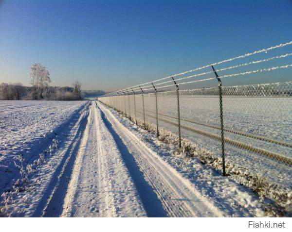 Потрясающие  фотографии зимней природы