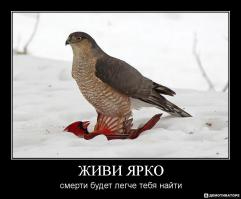 Экзотические птицы