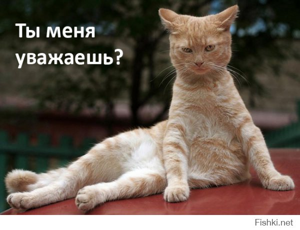 посмеялся =)))