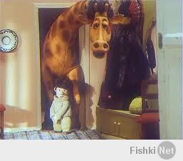 прошу прощения. простите ради бога. мне право очень не ловко.