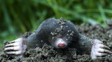 ну перестарался немного. с кем не бывает.