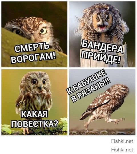 рас уж ты утырок тут пишешь, значит ты чмо очкливое откосил от службы сранной укропии
