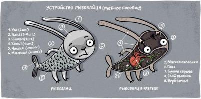 Фишкина солянка за 14.06.2014