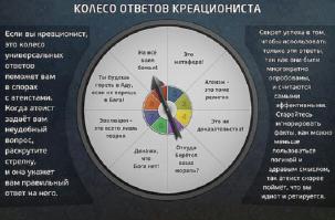Фишкина солянка за 21.11.2014