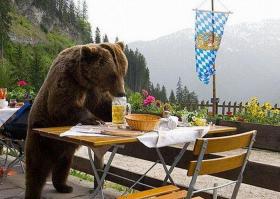 Кто что, а мой пиво любит: