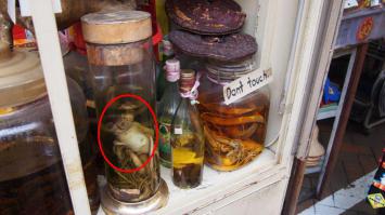 Ребята, этот корнеплод маринованный явно чем-то недоволен: